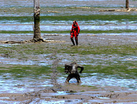 Mud Man Rescue 5-Jun-15