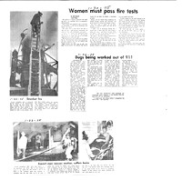 1974-1981